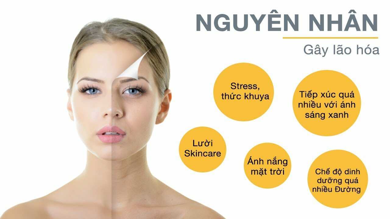 Nguyên nhân gây lão hóa da
