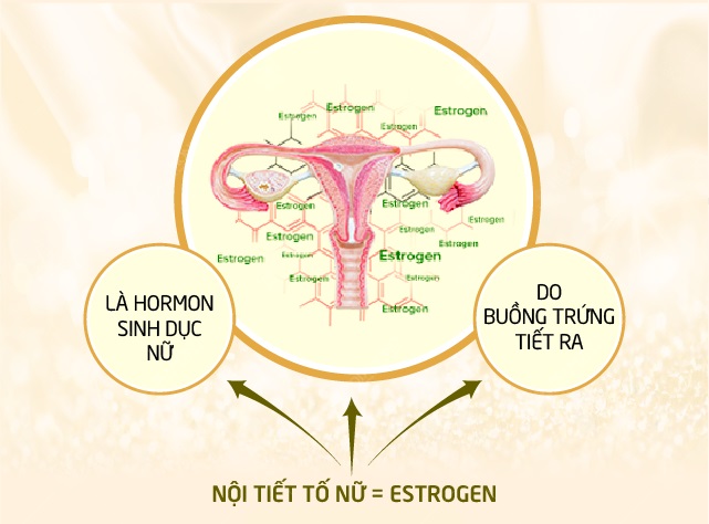 Bổ sung collagen có làm thay đổi nội tiết tố không